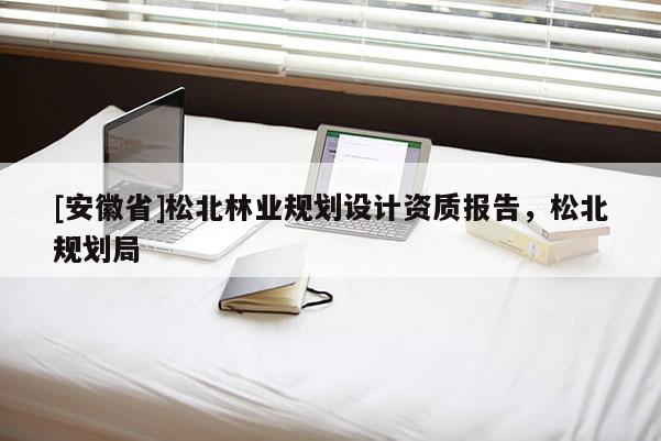 [安徽省]松北林業(yè)規(guī)劃設(shè)計(jì)資質(zhì)報(bào)告，松北規(guī)劃局