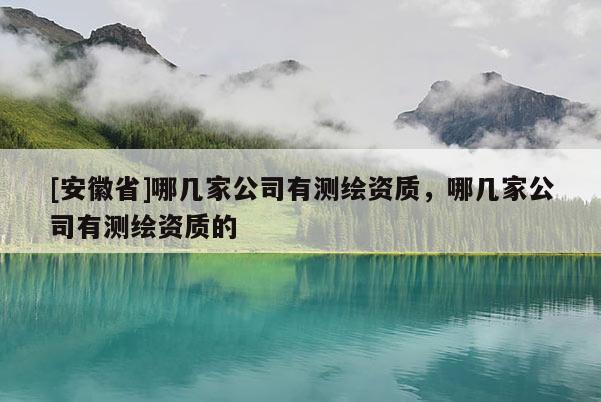 [安徽省]哪幾家公司有測繪資質，哪幾家公司有測繪資質的