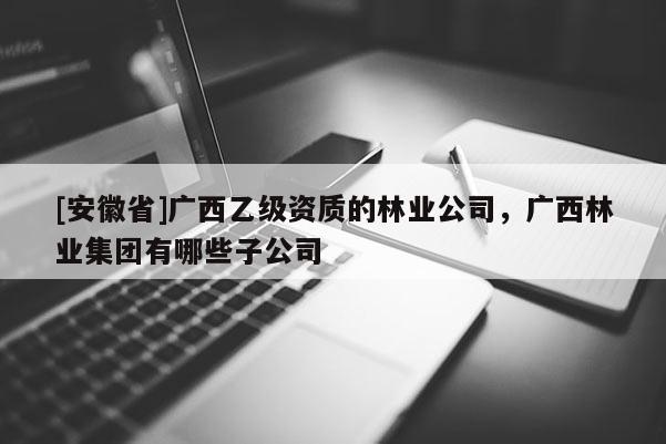 [安徽省]廣西乙級(jí)資質(zhì)的林業(yè)公司，廣西林業(yè)集團(tuán)有哪些子公司