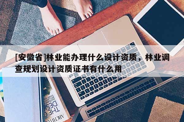 [安徽省]林業(yè)能辦理什么設(shè)計(jì)資質(zhì)，林業(yè)調(diào)查規(guī)劃設(shè)計(jì)資質(zhì)證書(shū)有什么用
