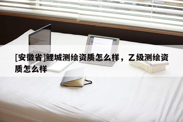 [安徽省]鯉城測繪資質怎么樣，乙級測繪資質怎么樣