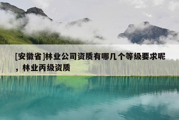 [安徽省]林業公司資質有哪幾個等級要求呢，林業丙級資質