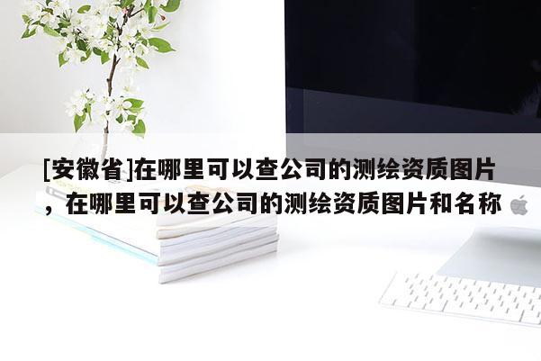 [安徽省]在哪里可以查公司的測(cè)繪資質(zhì)圖片，在哪里可以查公司的測(cè)繪資質(zhì)圖片和名稱