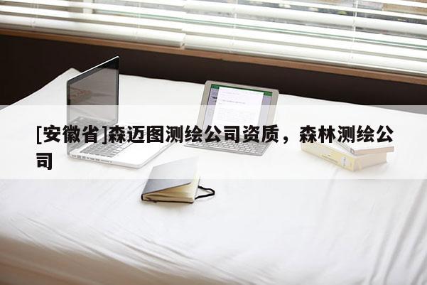 [安徽省]森邁圖測繪公司資質，森林測繪公司