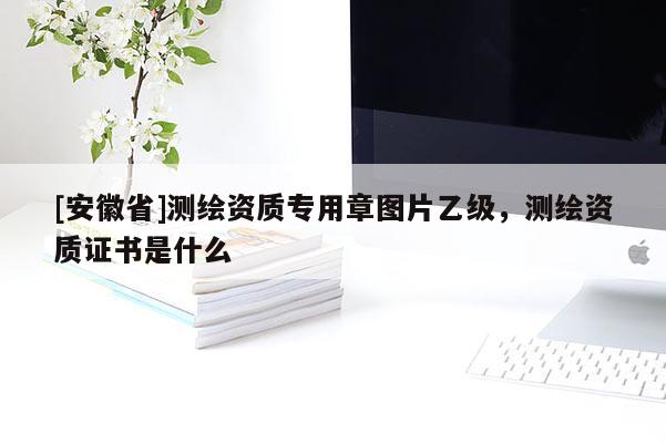 [安徽省]測繪資質(zhì)專用章圖片乙級，測繪資質(zhì)證書是什么