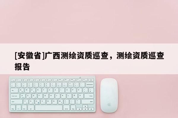 [安徽省]廣西測繪資質巡查，測繪資質巡查報告