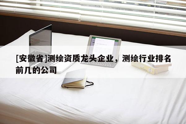 [安徽省]測繪資質(zhì)龍頭企業(yè)，測繪行業(yè)排名前幾的公司