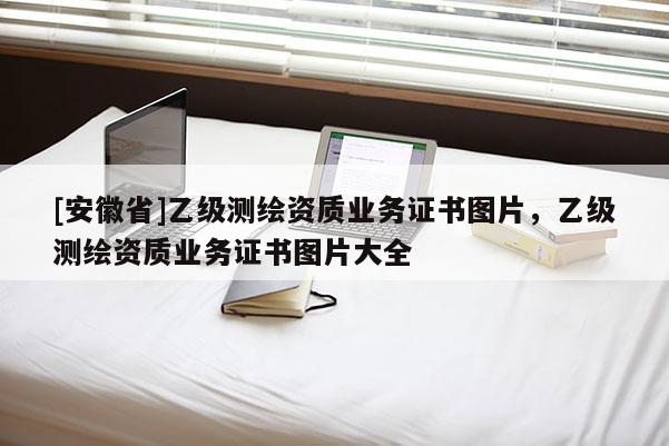 [安徽省]乙級測繪資質業務證書圖片，乙級測繪資質業務證書圖片大全