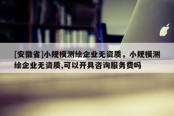 [安徽省]小規(guī)模測繪企業(yè)無資質(zhì)，小規(guī)模測繪企業(yè)無資質(zhì),可以開具咨詢服務(wù)費嗎